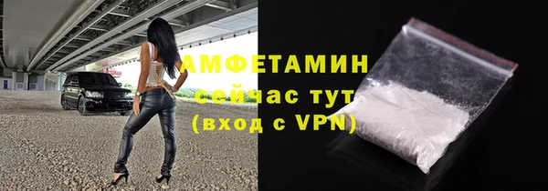 гидра Кодинск