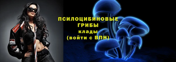 кристаллы Козловка