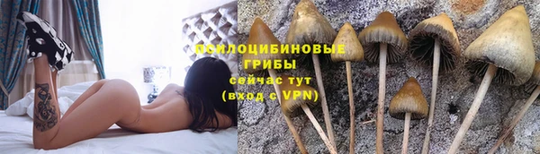mdma Кукмор